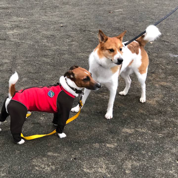 703b3ba2 1f13 4017 adf5 e3fab41bd655 1533596238504