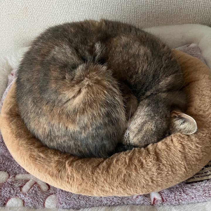 703b441f b209 4281 9b96 6f458a67d31f 1772948981703