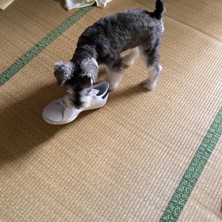 703b73d7 d2d0 4bf4 89d2 f3ddd4761ef6 1569725542045