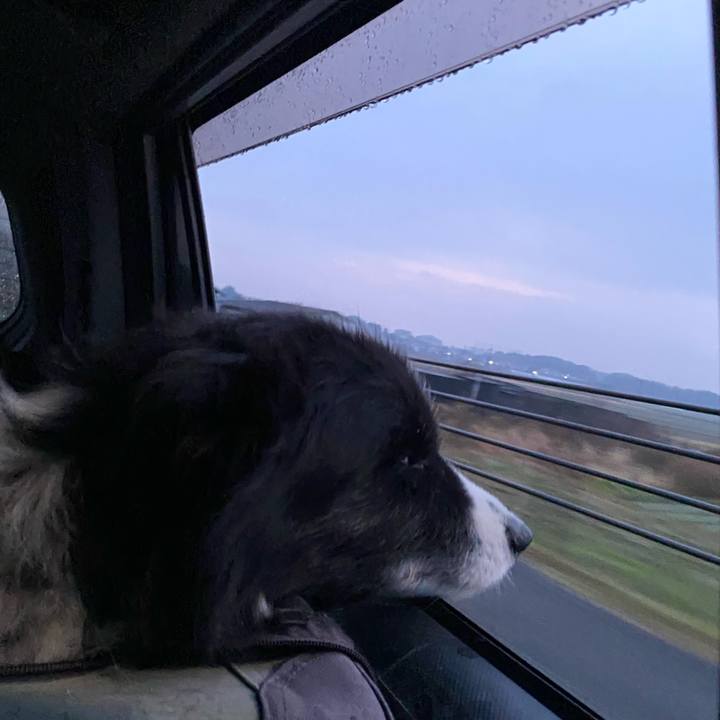 703b9158 7e55 40aa 879c 1293a5e1a9a9 1703974092065