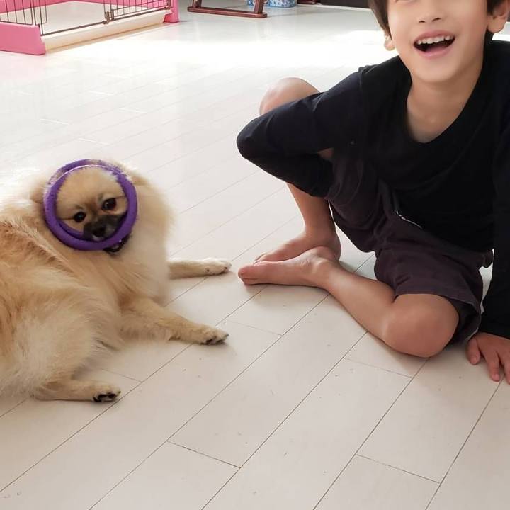 703b9dbc 905c 4e54 9fe9 a6f3dc7d7182 1633175254803