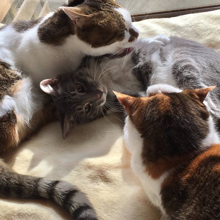 703ba043 ad00 4ee2 881f b9da7b85fdbb 1540208949036