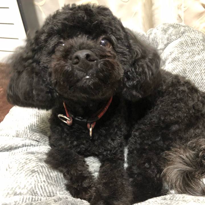 703bc9f9 45fc 40fd a95e 02add7fe9dc7 1558146253045