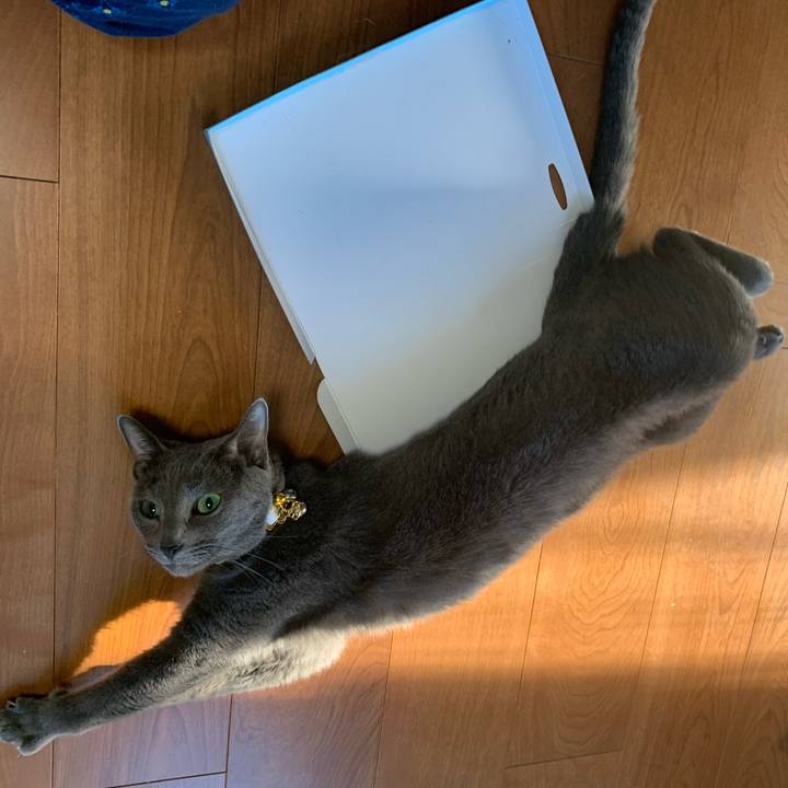 703bed6b 7282 4953 aa74 0afedbf65e10 1627015217320