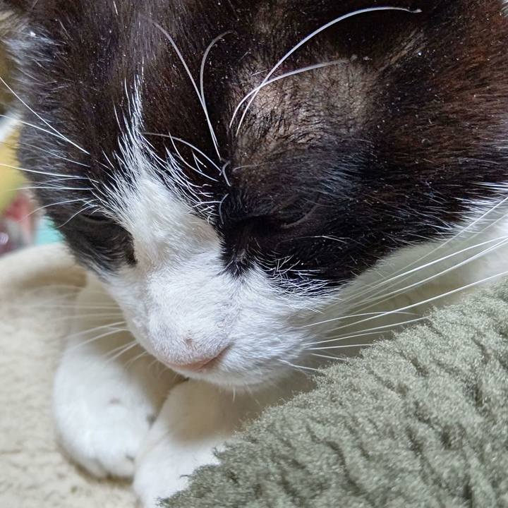 703c262e 70da 47b3 a525 ae7f412de063 1642161926889