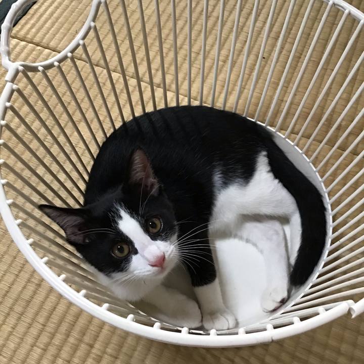 703c3802 d230 401a a4a4 4d4a601dcafc 1628071811348