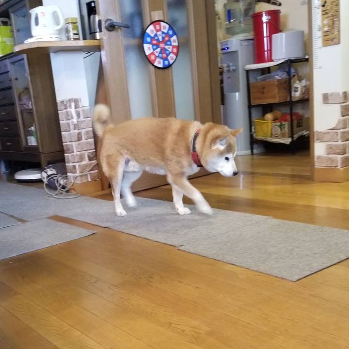 703c4bcb 0fba 47d8 b7f6 532a1c4749e2 1740093474125