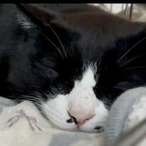 703c6b10 e038 426c 8827 daf3070f576f 1745840721469