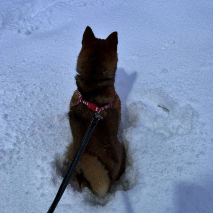 703c701e bc98 4aab ab95 27386927ec96 1517906881374