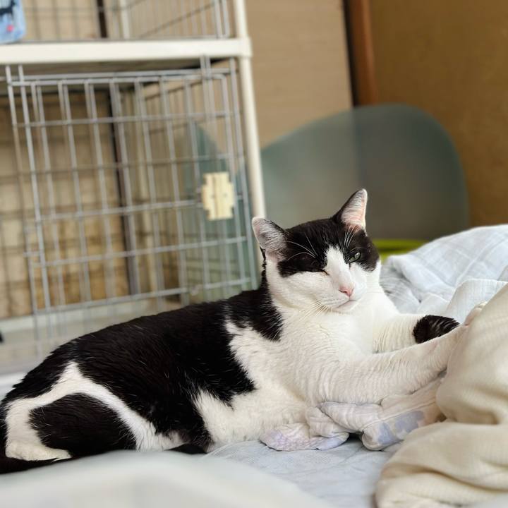 703c7541 53f4 4334 a49a f4515a4f5d8c 1686191252265