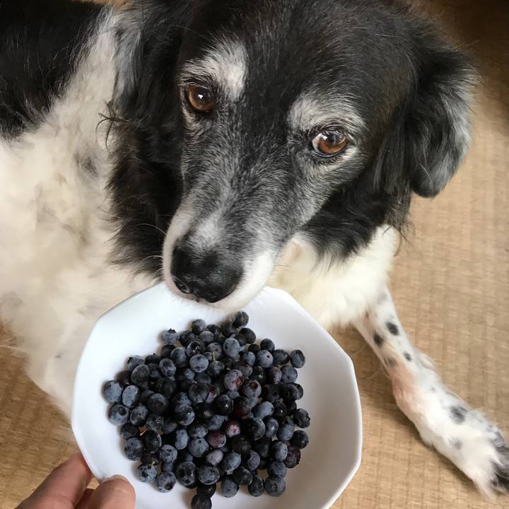 703c8161 456a 4399 bf3e 8007c5efa3e7 1534916865069