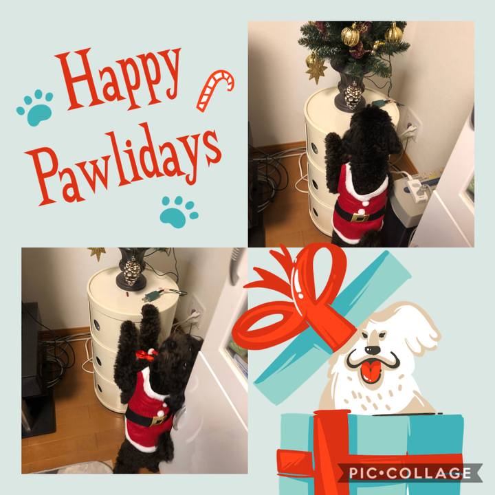 703cc1e0 9918 4be8 9957 e38716a02f83 1608711723257