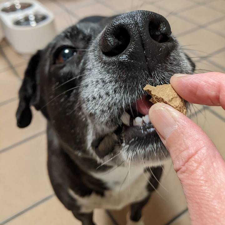 703cc88a 1401 4803 9fa7 58d00e7dc65a 1700649880954