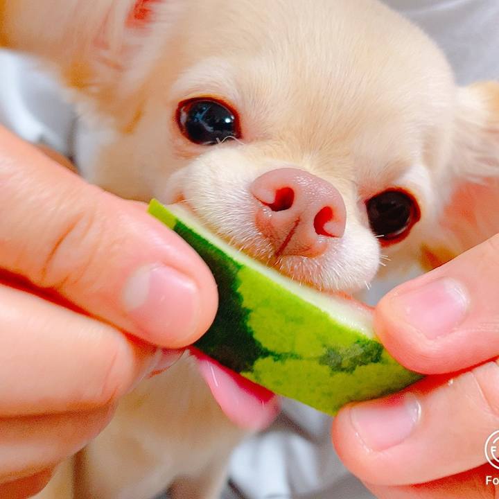 703cd8fd 9a21 4fad 9fd6 362db7377cd6 1629980885475