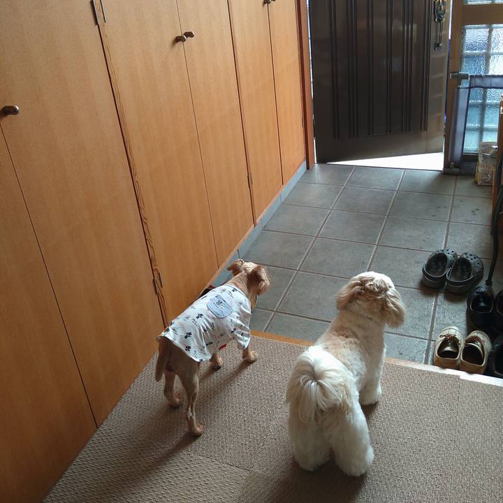 703cdfc3 dca7 4eaa a0c6 5e5f60a0e5d5 1619908747398