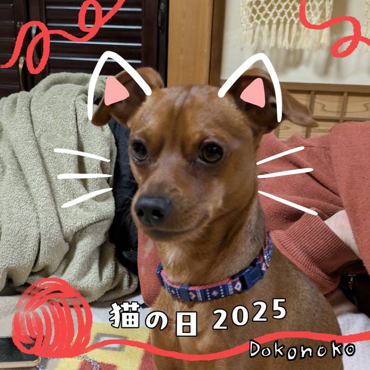 703cf1ba f8ef 4a6d bd97 70c9aabb8407 1740189114186