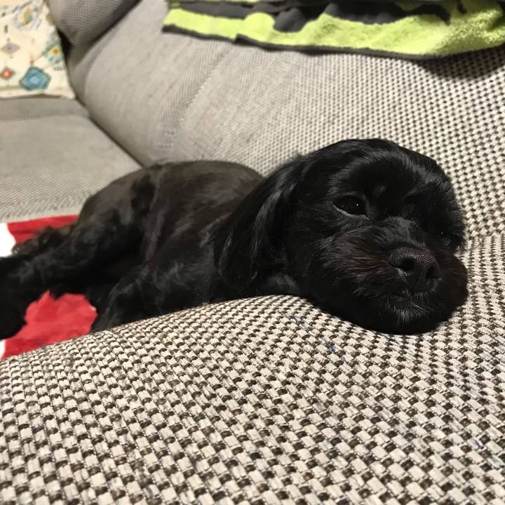 703cf5da eedd 4b22 8022 6a309c6cbfe1 1540723043610