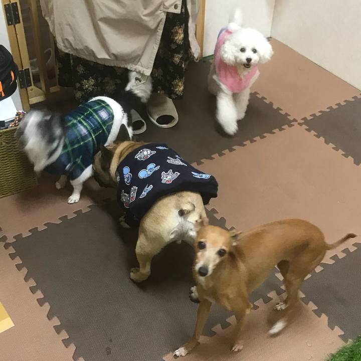 703cfe3c e06c 46ce 9e2c c2342f35367e 1517838286689