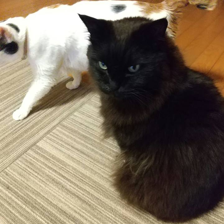 703d01cd 8cb8 41ab 93c4 1d2e0a00cf56 1647081370421