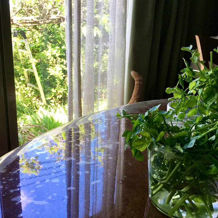 703d13b4 8679 429c b9a6 5d118dad2d8e 1620633245603