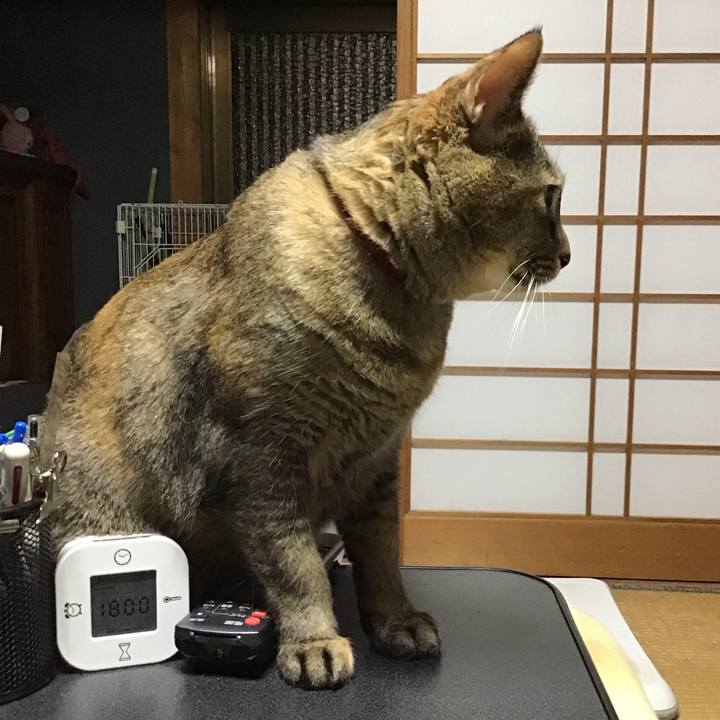 703d4d9a 687d 43d9 9e31 0b66e6fddf10 1707642283037