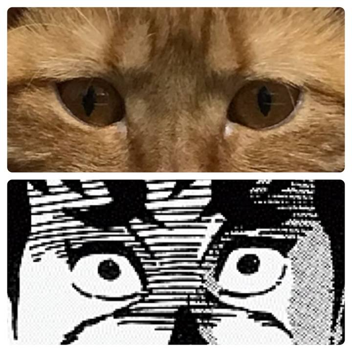 703d7776 8929 4d75 bcbc 76319b810a7d 1534514866371