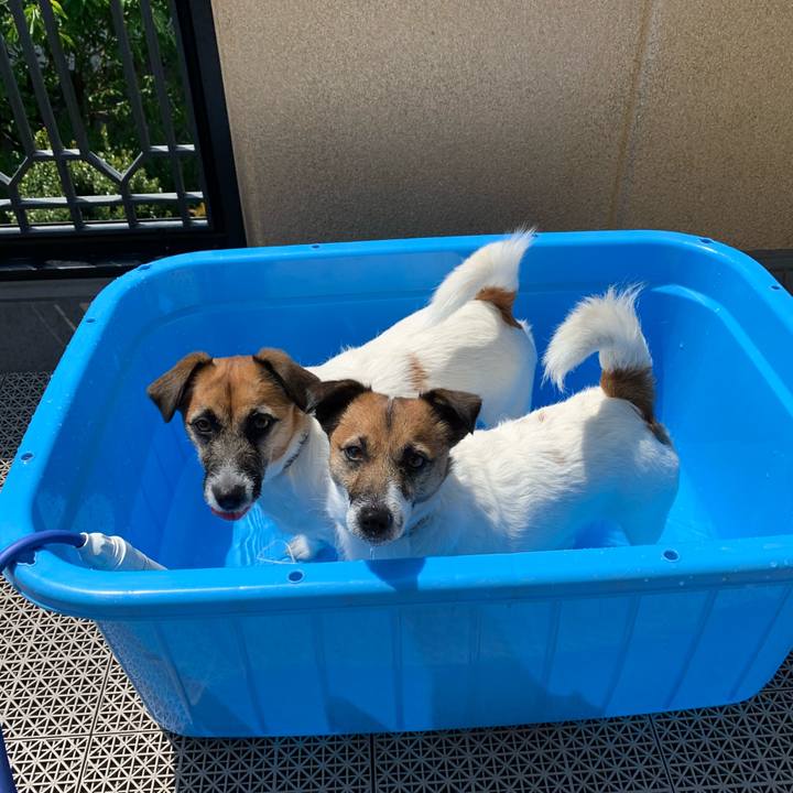 703d7e89 cc4d 46df 8692 e0479f8cc944 1588384088835