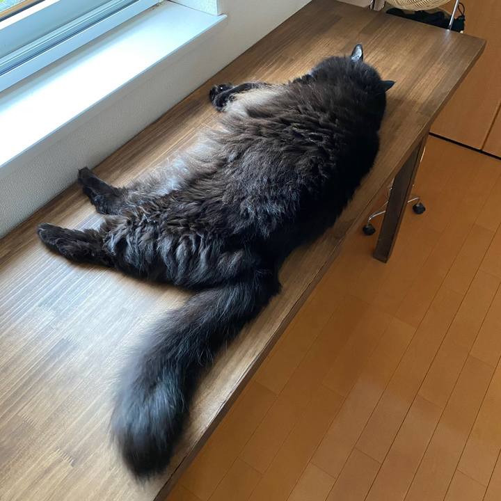 703d9bf1 73be 4412 b36b d05d6e8aa401 1622761987141