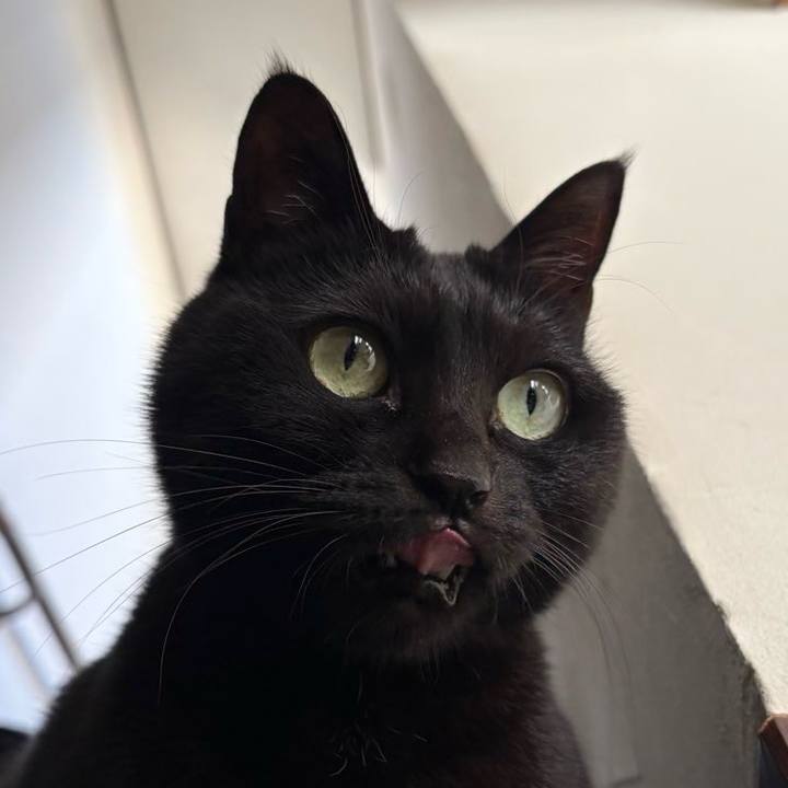 703dcbdc 9a8c 4c61 8c02 0c080ba6567f 1762946952869