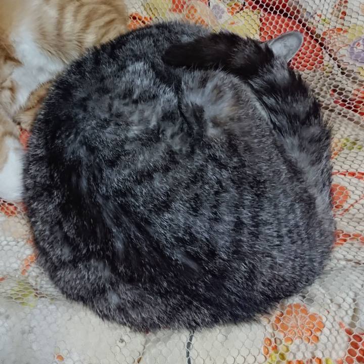 703e38ff f387 43af a5e2 43347dad6f5a 1572699495275