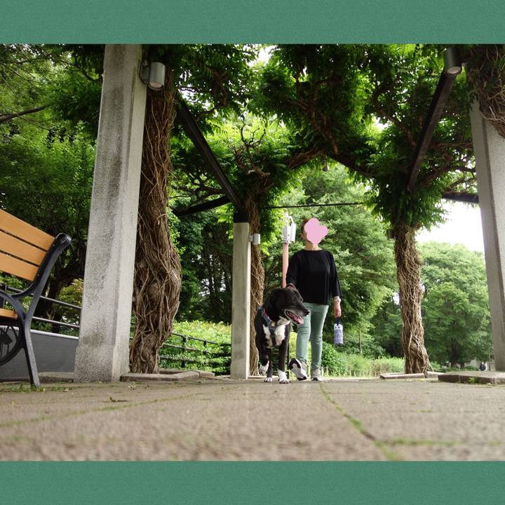 703e5042 e1de 43c4 90eb 3720b28e5af3 1747960194773