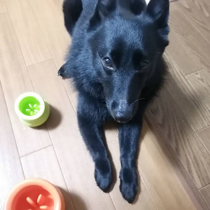 703e9bc0 4c3d 4a9d b54b 4e7189370c97 1662503480370