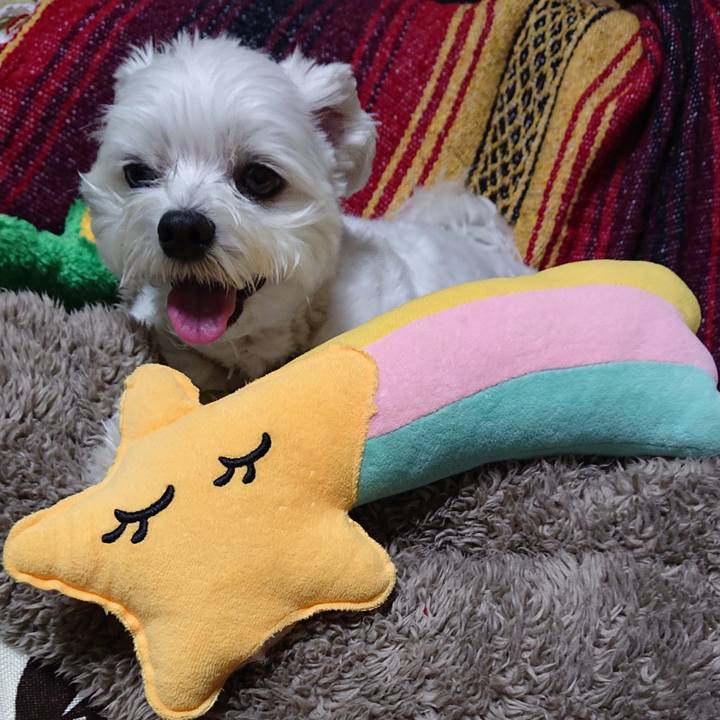 703ec6a2 a9c5 4bb0 83c6 456a18b25bf4 1540556813317