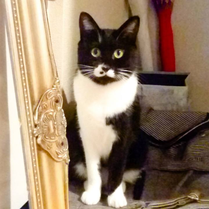 703ed240 8110 4467 b80a 37400c0bdb8b 1509252317702