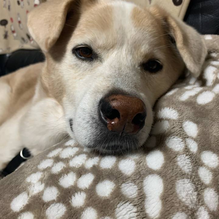 703ef9e3 206d 42f5 a7e4 61bce78c7cfe 1666792556617