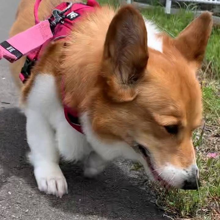 703efe4d 3e13 4ee0 9cc2 5b69def35ce0 1685241296626