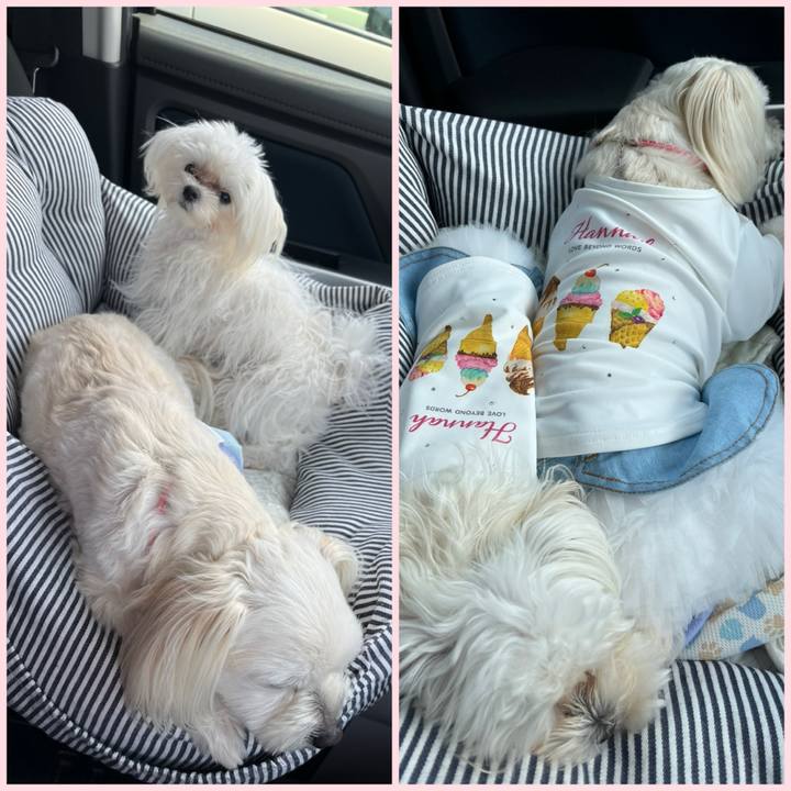 703f0832 44f1 4ef8 8a6d 610728239889 1714635866001