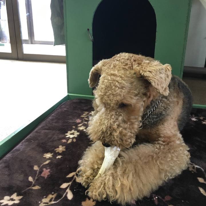 703f1835 c532 43b2 a075 4ace6d971109 1512702783107