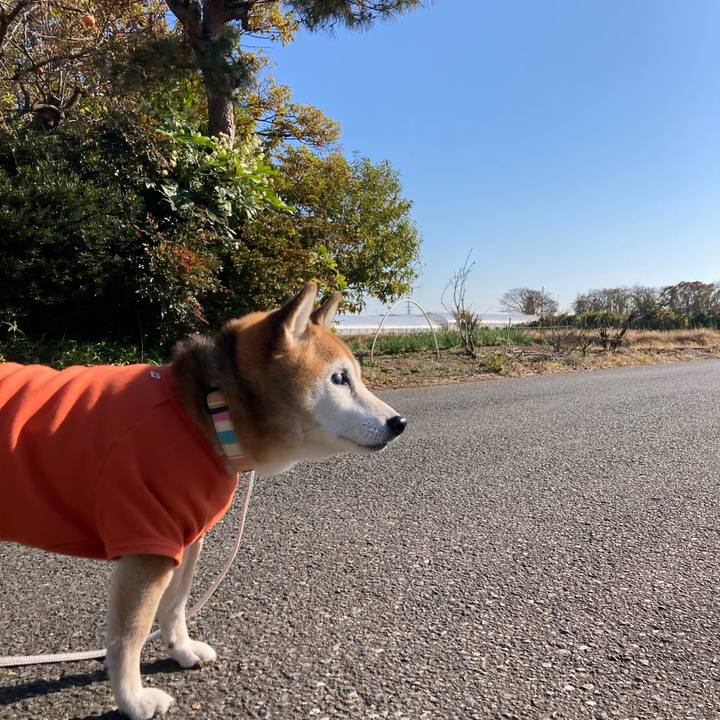 703f6225 3023 4e64 bf5e 590da730d9cb 1764130762631