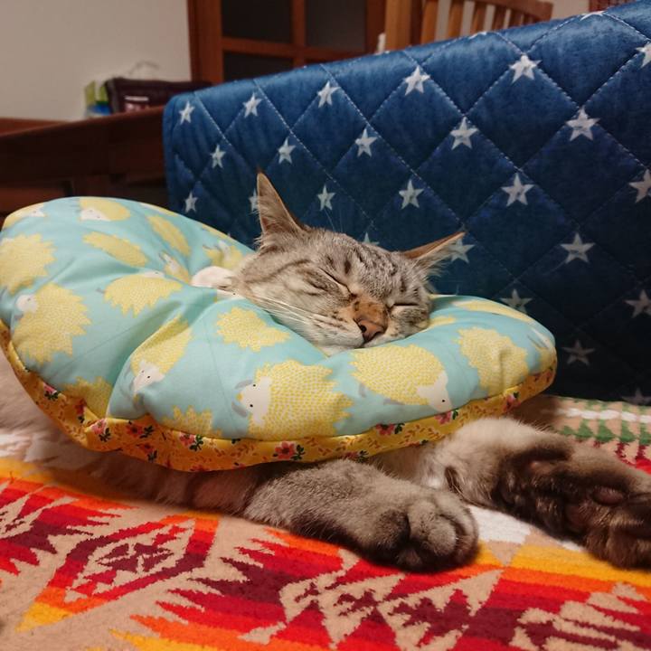 703f7220 f1e2 4072 a07e 7a8d4498a50c 1594733797807