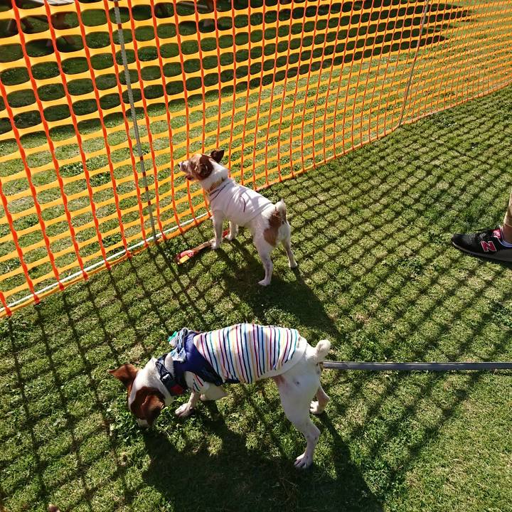 703f79e5 5b27 45ae 8643 b200d8efe2f5 1527929962485