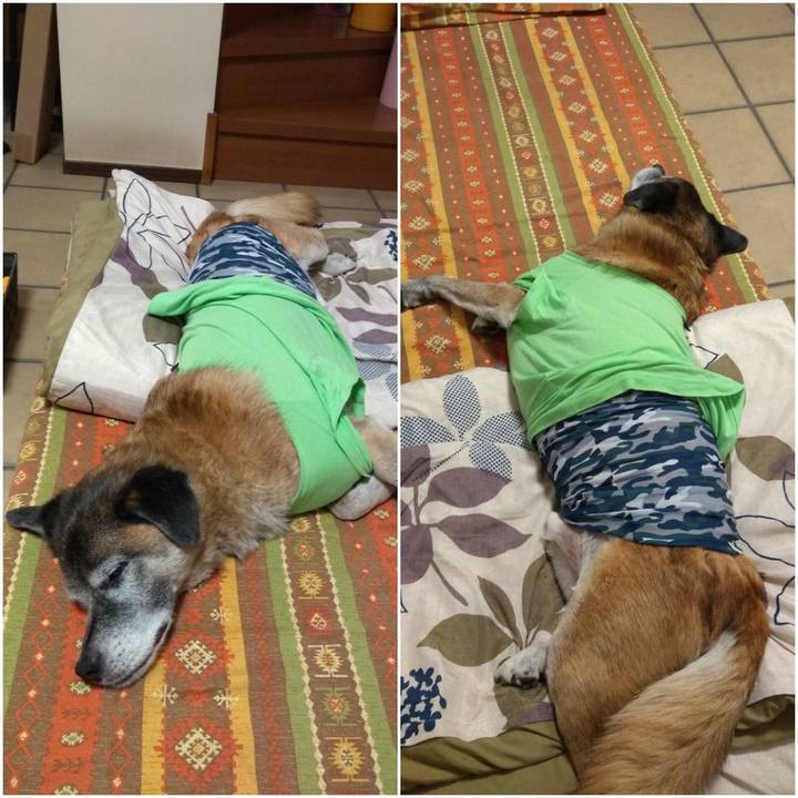 703f8719 4a2b 4eca aa14 d87f167ce4d5 1571781971299