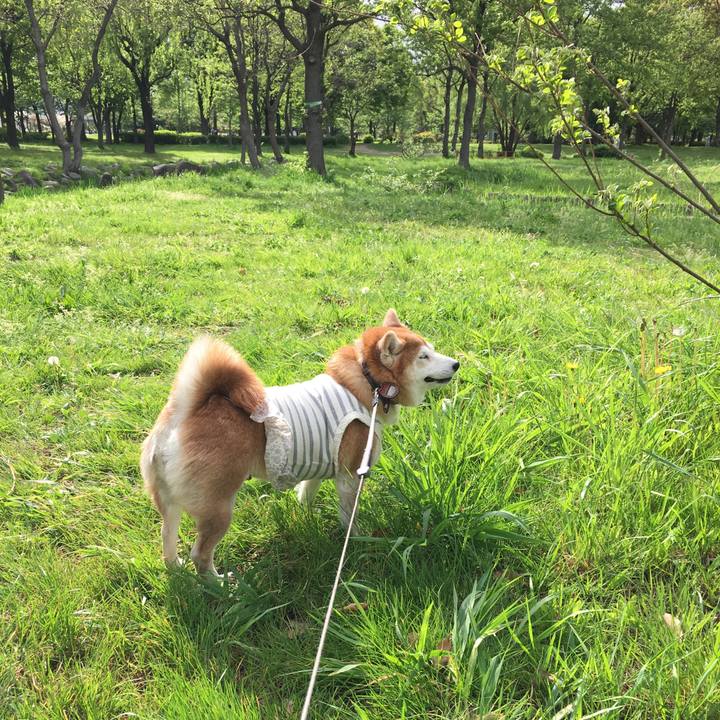 703fd703 1290 472f b2bf ee7971b78ff3 1524116594748