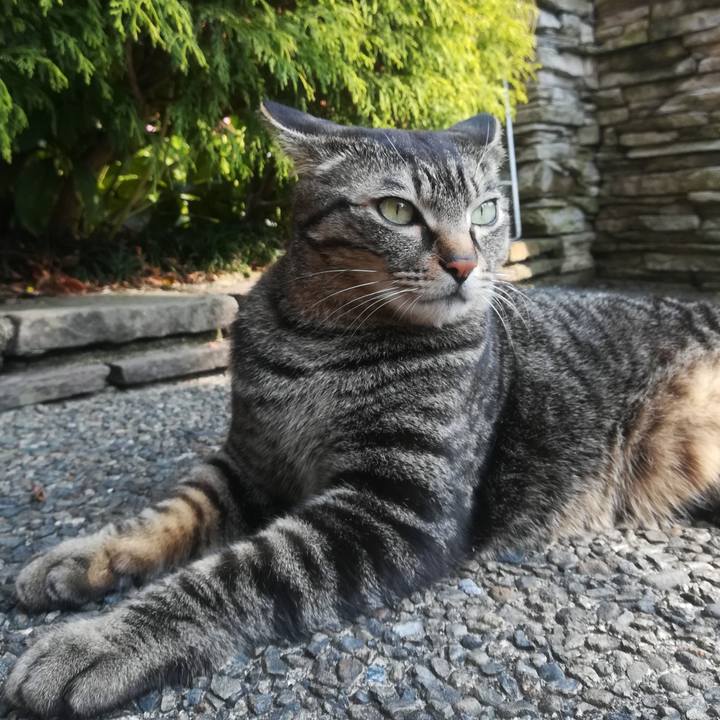 703ff607 ab61 4237 8e32 7707a8cf725f 1521873027459