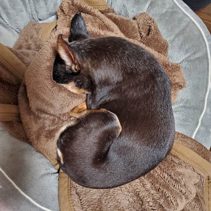 703fffa6 d683 4cab 8b28 dc8ff17c6baf 1681140052944