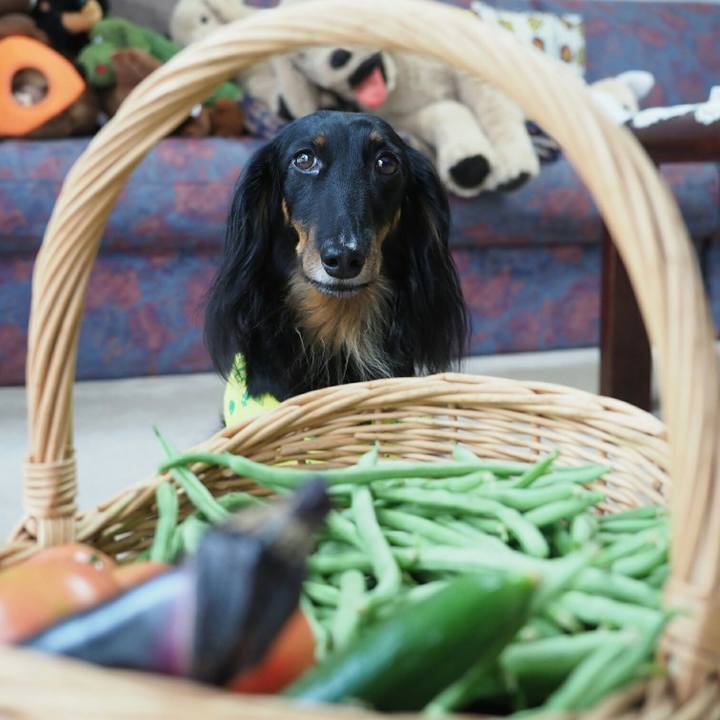 70403069 695f 4d80 ba50 c80d7124c2f3 1561696440458