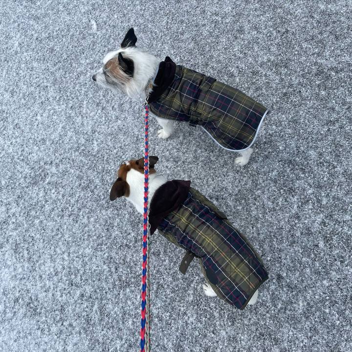 70403e8e 4d0b 47ef 9b6b 3fcd004cadd2 1739833609735