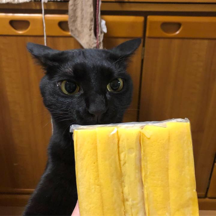 7040473e 1d1b 4b2a 9dd9 5aa91982f51c 1547605900573