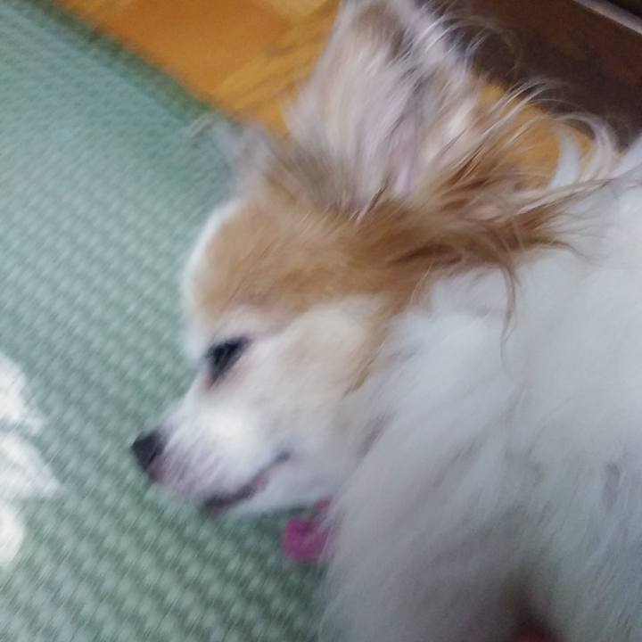 70405588 ab9a 4141 a01f 7ca5301cc807 1533564735882