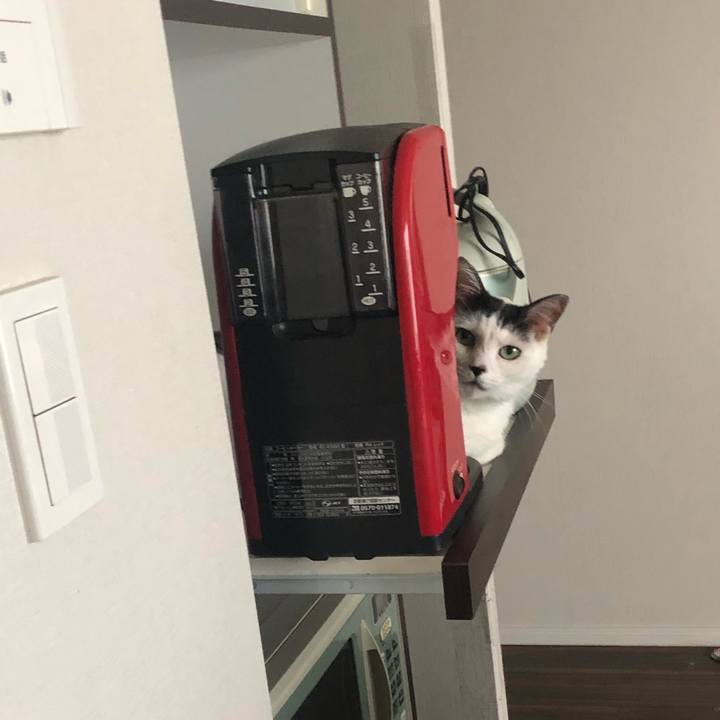 70405aab 7ee5 496f be85 5a2b8d54ed7b 1600213605914